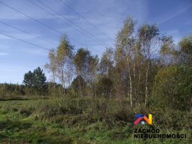 Działka siedliskowa 3648m2 - Radomia-Orzewo